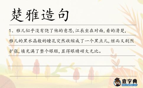 楚雅造句