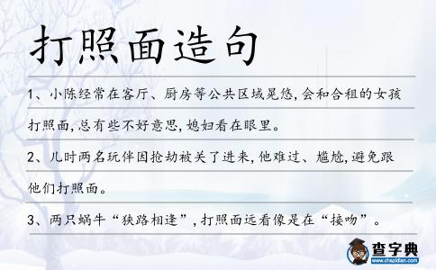 打照面造句