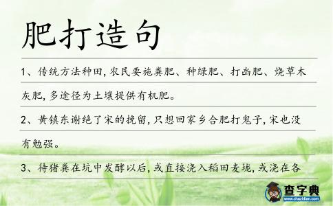 肥打造句