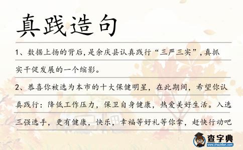 真踐造句