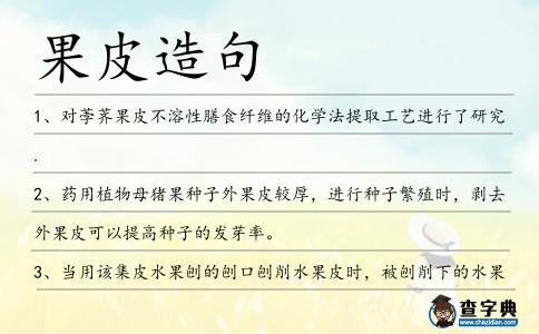 果皮造句