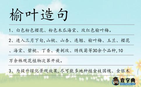 榆葉造句