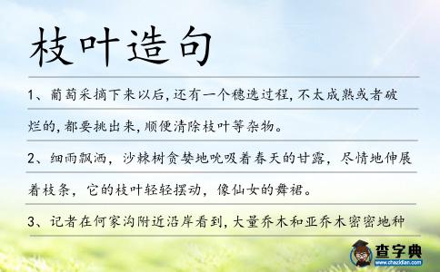枝葉造句