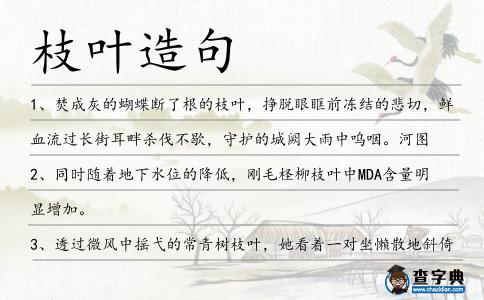枝葉造句