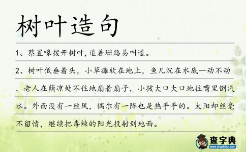 樹葉造句