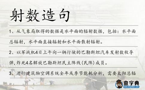 射數造句