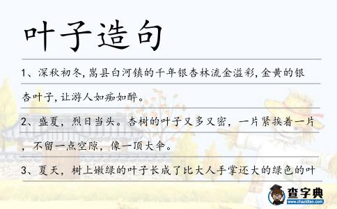 葉子造句