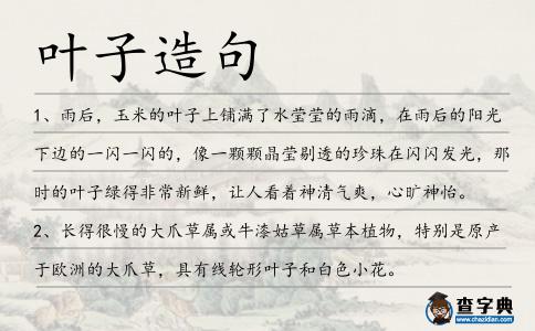 葉子造句