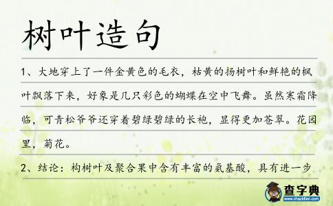 樹葉造句