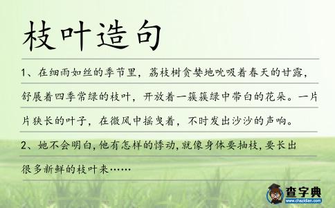 枝葉造句