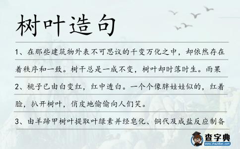 樹葉造句