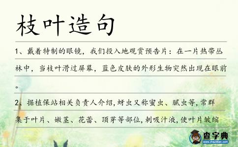 枝葉造句