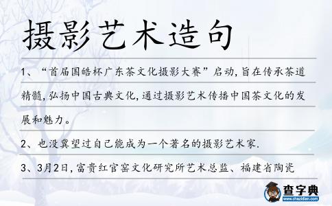 攝影藝術(shù)造句