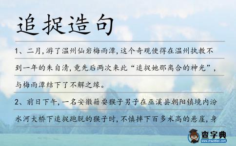 追捉造句