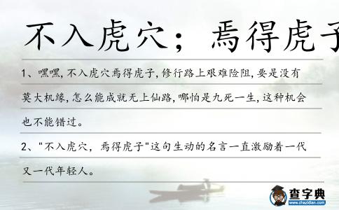 不入虎穴;焉得虎子造句