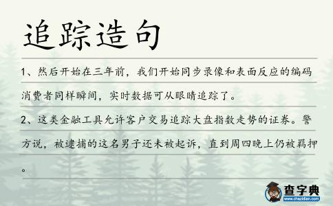 追蹤造句