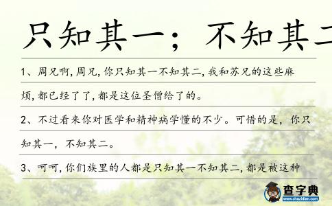 只知其一；不知其二造句