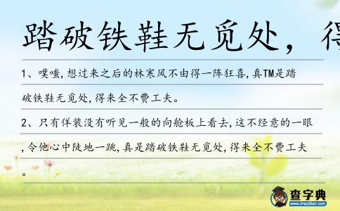 踏破鐵鞋無覓處,得來全不費造句