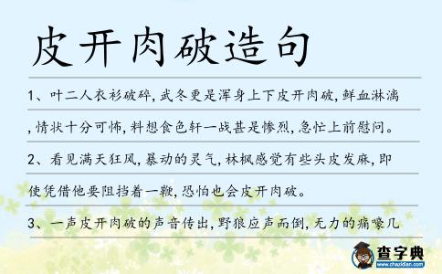 皮開肉破造句