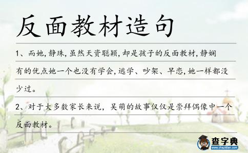 反面教材造句