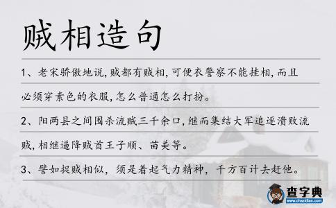 賊相造句