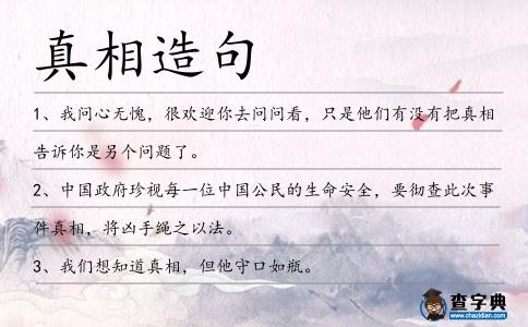 真相造句