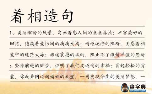 著相造句
