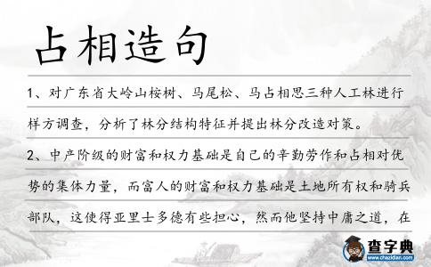 占相造句