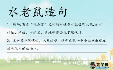 水老鼠造句