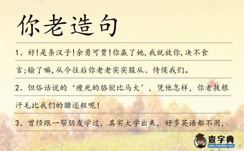 你老造句