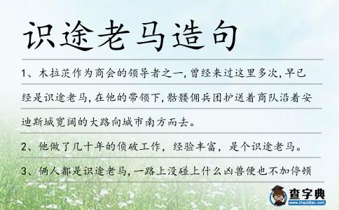 識途老馬造句