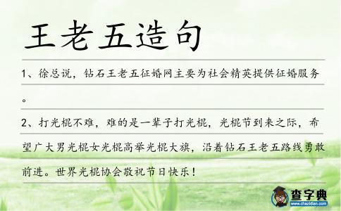 王老五造句