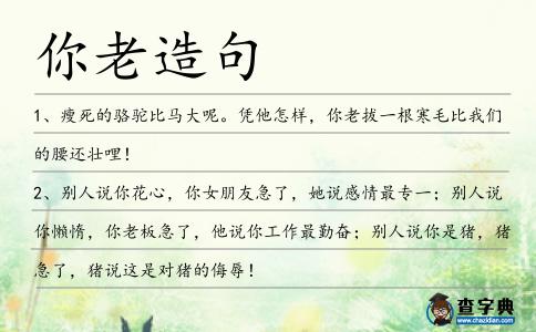 你老造句