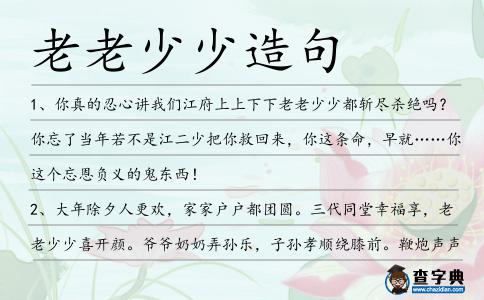 老老少少造句