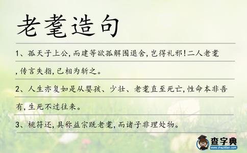 老耄造句