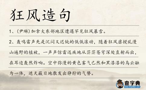 狂風造句