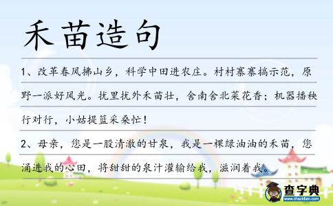 禾苗造句