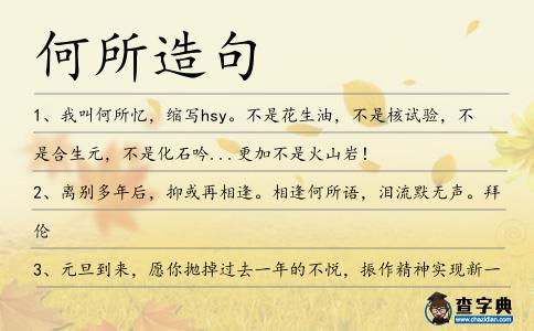 何所造句