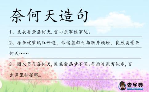 奈何天造句