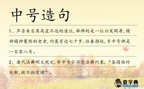 中號造句