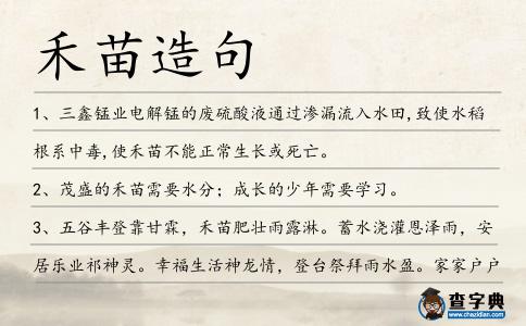 禾苗造句