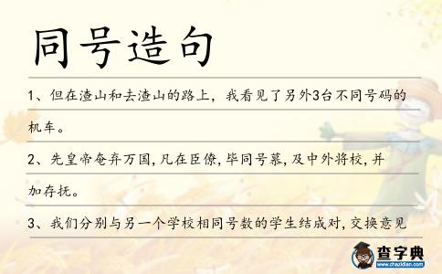 同號造句