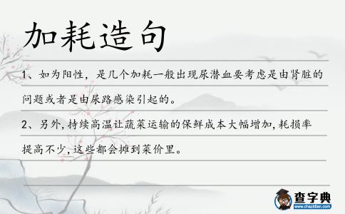 加耗造句