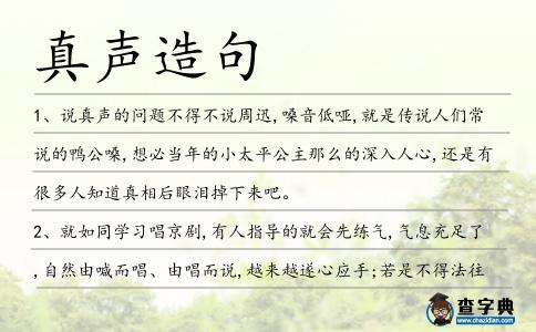 真聲造句