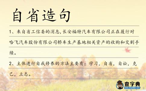 自省造句