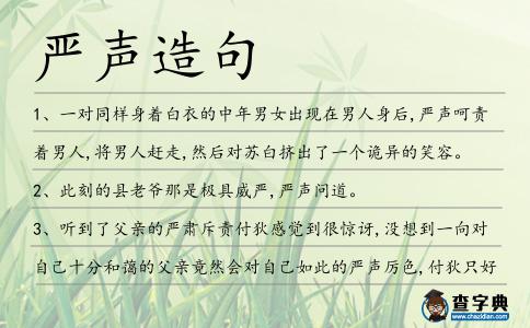 嚴(yán)聲造句