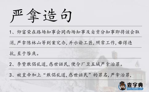 嚴拿造句