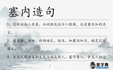 塞內造句