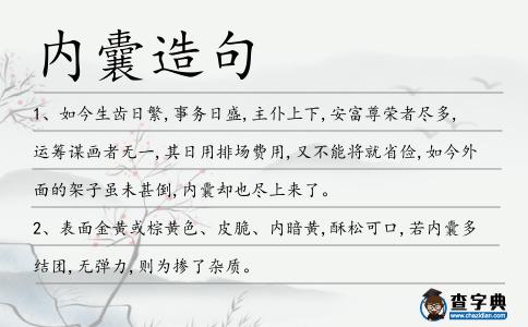 內(nèi)囊造句
