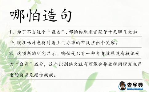 哪怕造句